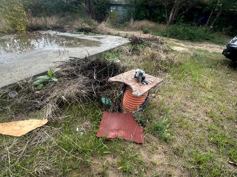 ділянка за адресою с. Молодіжне, Берегова, 1