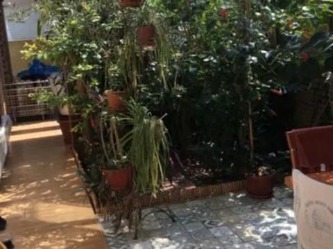 дом по адресу 10 Линия