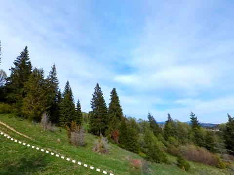 ділянка за адресою с. Яблуниця, 