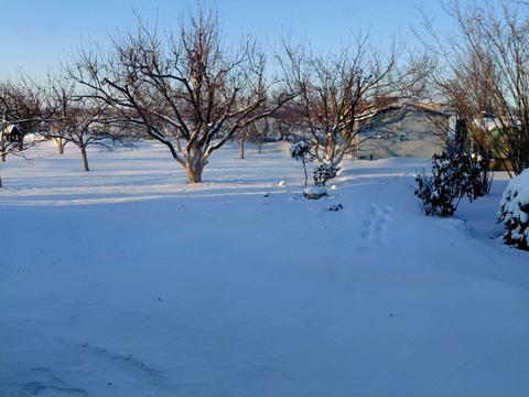 будинок за адресою Виноградная ул.