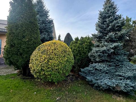 будинок за адресою 4-й Гніванське пров.