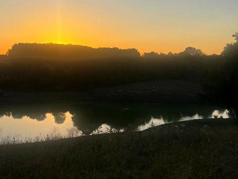 ділянка за адресою с. Комарів, 