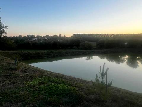 ділянка за адресою с. Комарів, 