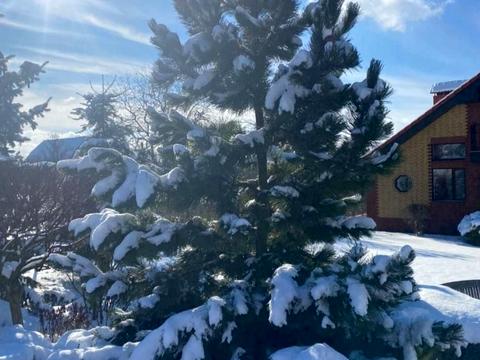 будинок за адресою Виноградна вул.