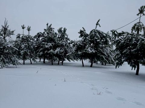 ділянка за адресою с. Ясногородка, 