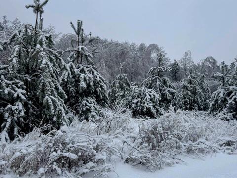 ділянка за адресою с. Ясногородка, 