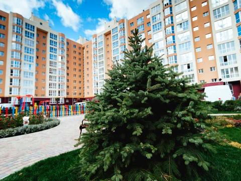 квартира за адресою Соборна вул., 126/10