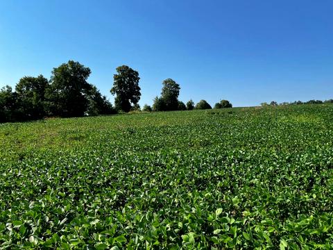 ділянка за адресою с. Креховичі, 