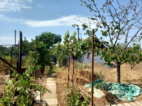 дом по адресу вулиця 23