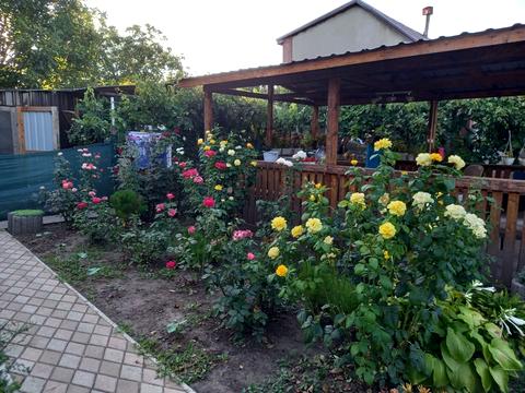 дом по адресу Центральна, 123