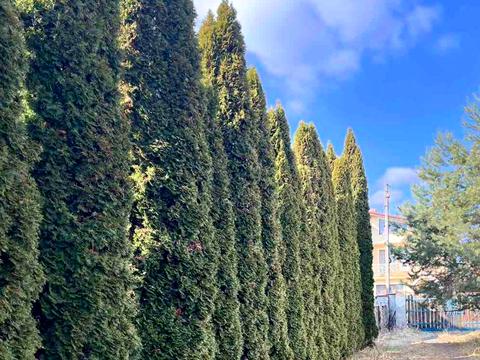 будинок за адресою Тараса Шевченка вул., 21