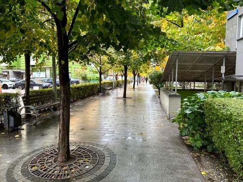 комерційна за адресою Жулянська вул., 1-А