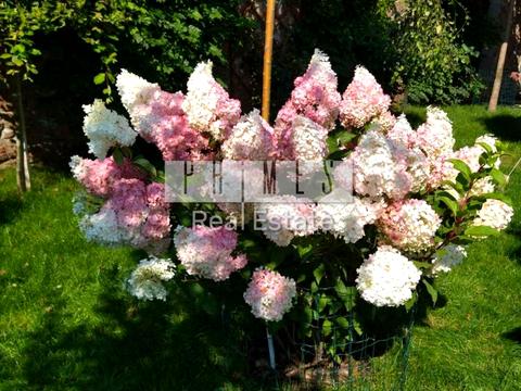 будинок за адресою Абрикосова вул.