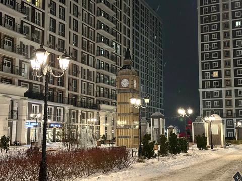 квартира за адресою Київ, Михайла Максимовича вул. (Онуфрія Трутенка), (Будинок «Віндзор»)