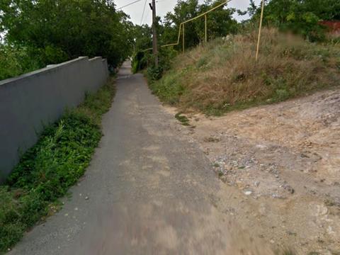 ділянка за адресою Лиманна вул.