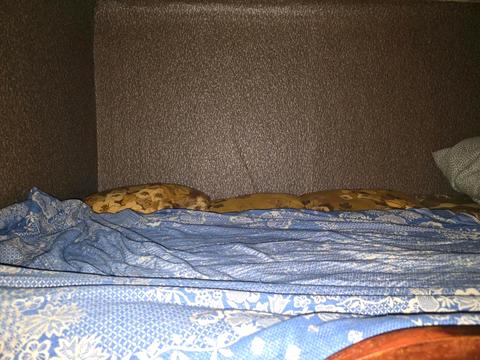 квартира за адресою Мілютенка вул., 3