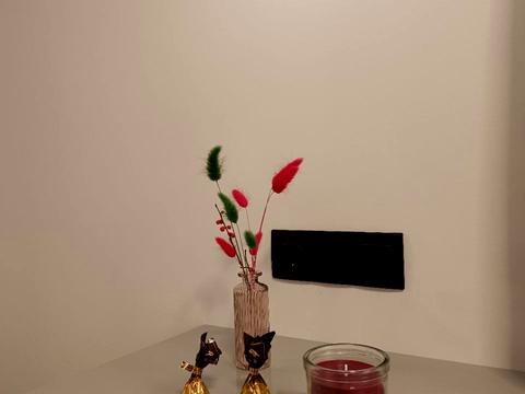 квартира по адресу Княгинин ул., (Будинок 8)