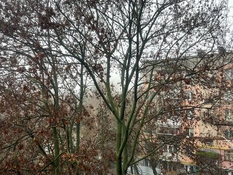 квартира за адресою Василя Нікітіна вул., 15