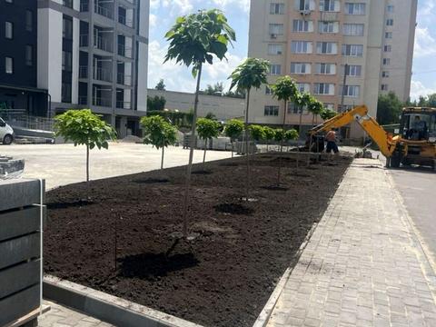 квартира по адресу Транспортная ул., 11/3