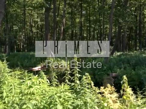 дом по адресу Заповідна вул.