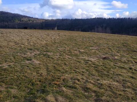 участок по адресу Франка