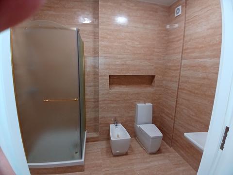 квартира по адресу Дача Ковалевского ул., 91