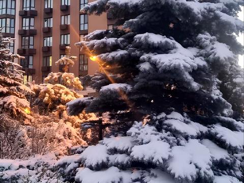 квартира по адресу с. Софиевская борщаговка, Мартинова просп., (вул. Щаслива, 67)