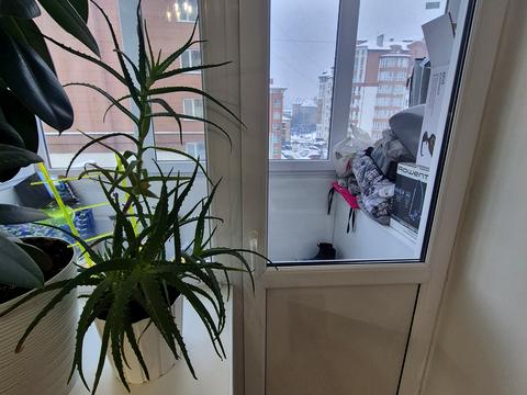 квартира по адресу Евгения Коновальца ул., 86-A