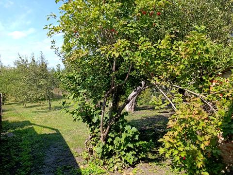 будинок за адресою смт. Рогань, Вишнева вул. (Кірова)