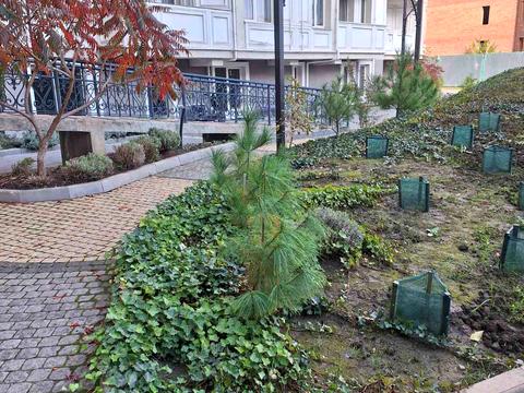 квартира за адресою Софіївська вул., 15