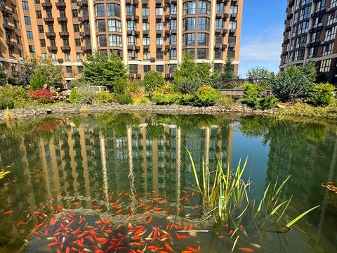 квартира по адресу Яблоневая ул., 18