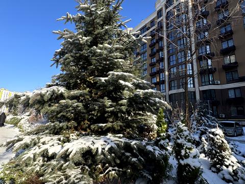 квартира по адресу Яблоневая ул., 18