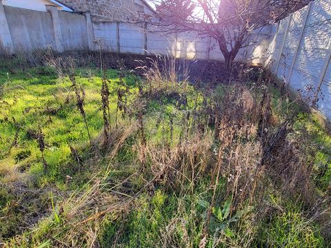 будинок за адресою Царское село 2