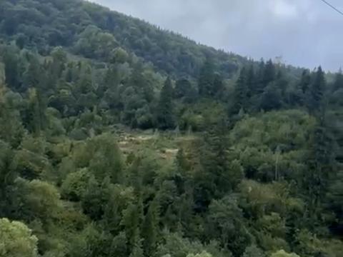 участок по адресу Николая Устиановича ул.