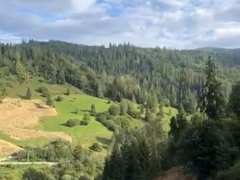 участок по адресу Николая Устиановича ул.