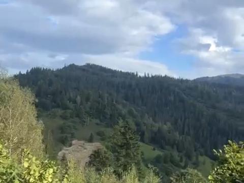 участок по адресу Николая Устиановича ул.