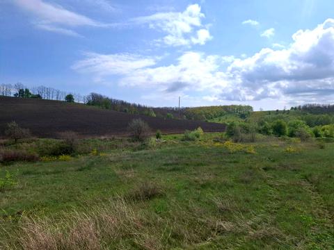 ділянка за адресою с. Макіївка, 