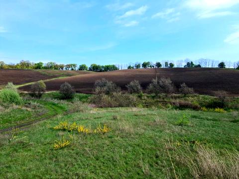 ділянка за адресою с. Макіївка, 