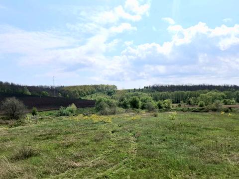 ділянка за адресою с. Макіївка, 