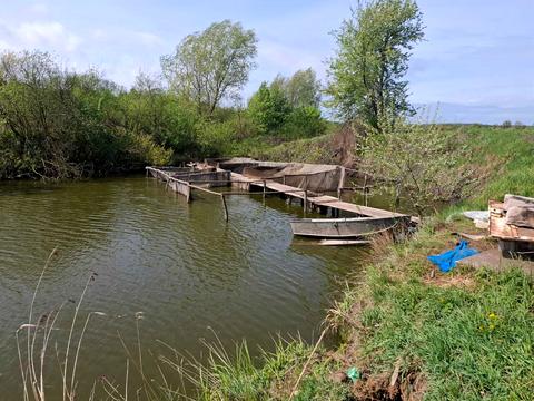 ділянка за адресою с. Макіївка, 