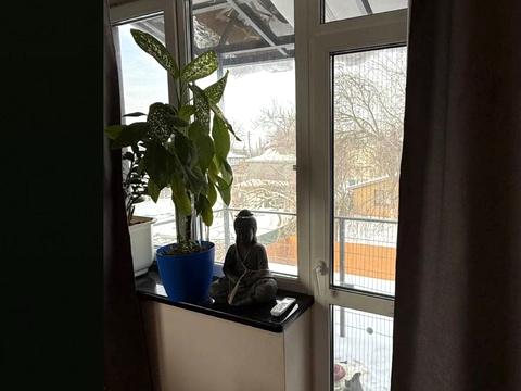 будинок за адресою 17-Садова