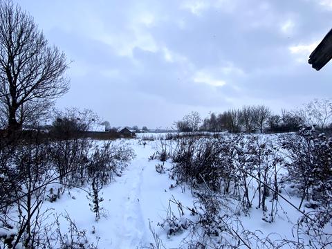 будинок за адресою Шевченка, 37