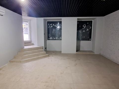 комерційна за адресою Григорія Сковороди вул. (Пушкінська), 65/1