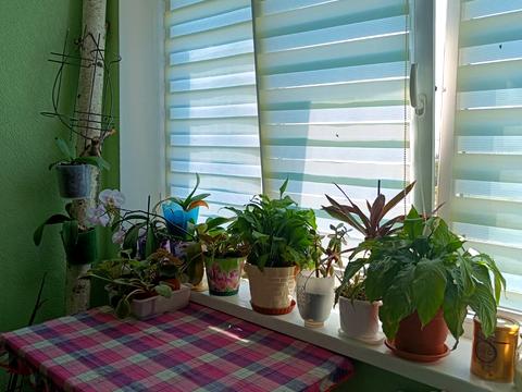 квартира за адресою Братиславська вул., 24