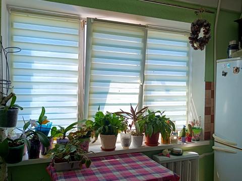 квартира за адресою Братиславська вул., 24