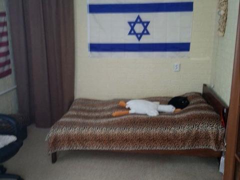 квартира за адресою Брюллова вул., 16