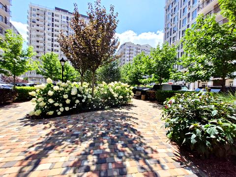 квартира за адресою Михайла Максимовича вул. (Онуфрія Трутенка), 24-Г