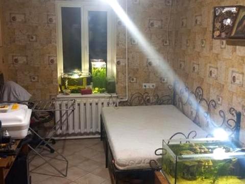 дом по адресу центральная, 67