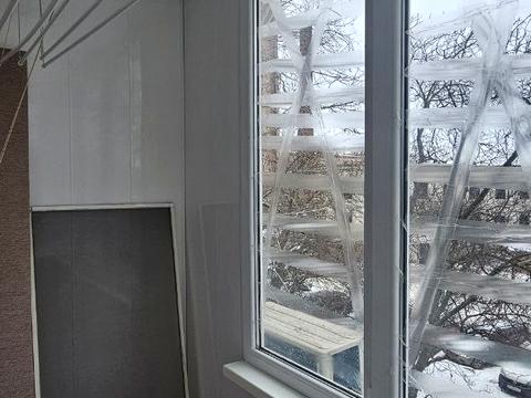 квартира по адресу Парамонова ул., 19