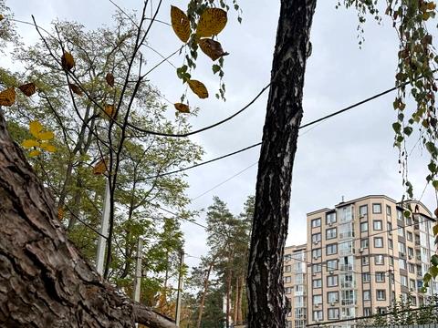 ділянка за адресою Ірпінь, Авіаконструктора Антонова вул., 19